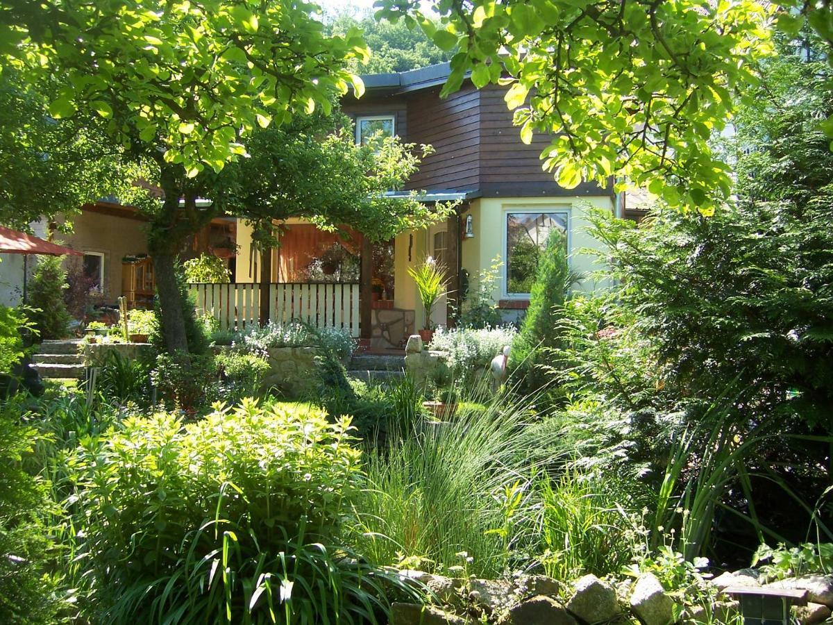Ferienhaus Hagenwinkel جيرنروده هارتس المظهر الخارجي الصورة