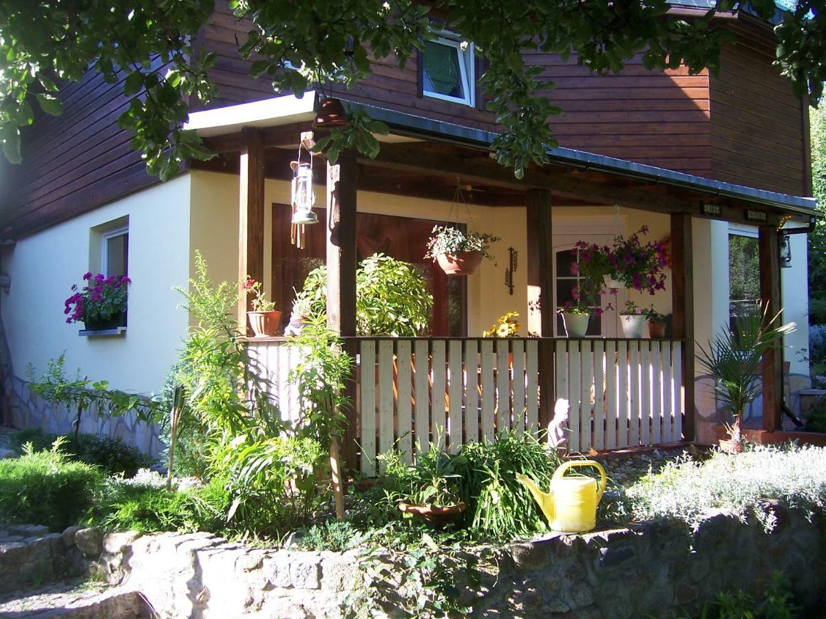 Ferienhaus Hagenwinkel جيرنروده هارتس المظهر الخارجي الصورة