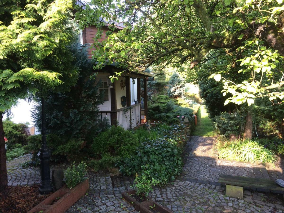 Ferienhaus Hagenwinkel جيرنروده هارتس المظهر الخارجي الصورة